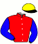 casaque portée par Duvaldestin C. jockey du cheval de course ILTON CADENCE, information pmu ZETURF