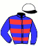 casaque portée par Desmigneux F. jockey du cheval de course FRIVOLE D'ARBAZ, information pmu ZETURF