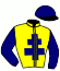 casaque portée par Desmigneux F. jockey du cheval de course HAND DES ELIES, information pmu ZETURF