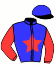 casaque portée par Baude S. jockey du cheval de course HATTILA, information pmu ZETURF