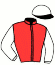 casaque portée par Rivenet L. jockey du cheval de course DANEHILL DANCER, information pmu ZETURF