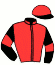 casaque portée par Desmigneux F. jockey du cheval de course IKOUMA DU HOULET, information pmu ZETURF