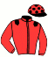 casaque portée par Trullier T. jockey du cheval de course LORD MONCHABLON, information pmu ZETURF