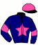 casaque portée par Lepage Dom. jockey du cheval de course EMBOMEUSE D'ETOILE, information pmu ZETURF