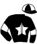 casaque portée par Lefebvre Ph. jockey du cheval de course ELIXIR JIEL, information pmu ZETURF