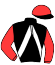 casaque portée par Beauvais E. jockey du cheval de course IRYSKA LESMELCHEN, information pmu ZETURF casaque portée par Beauvais E. jockey du cheval de course IRYSKA LESMELCHEN, information pmu ZETURF