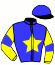 casaque portée par Jaulneau N. jockey du cheval de course JOYCE DU FER, information pmu ZETURF casaque portée par Jaulneau N. jockey du cheval de course JOYCE DU FER, information pmu ZETURF