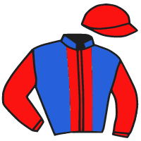 casaque portée par Besnier H. jockey du cheval de course LAMENTO, information pmu ZETURF casaque portée par Besnier H. jockey du cheval de course LAMENTO, information pmu ZETURF
