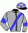 casaque portée par Beauvais T. jockey du cheval de course HOLD UP DARCHE, information pmu ZETURF