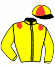 casaque portée par Goujon T. jockey du cheval de course HALIZAROSA, information pmu ZETURF
