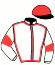 casaque portée par Douaneau E. jockey du cheval de course JOHANNA JOBYNA, information pmu ZETURF