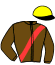 casaque portée par Desmigneux F. jockey du cheval de course KARNAC D'ALCI, information pmu ZETURF