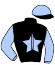 casaque portée par Desmigneux F. jockey du cheval de course LEADER DE L'AUMOY, information pmu ZETURF casaque portée par Desmigneux F. jockey du cheval de course LEADER DE L'AUMOY, information pmu ZETURF
