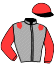 casaque portée par Mahieu Dan. jockey du cheval de course IMITCH DU MOULIN, information pmu ZETURF casaque portée par Mahieu Dan. jockey du cheval de course IMITCH DU MOULIN, information pmu ZETURF