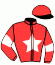 casaque portée par Grumetz Max. jockey du cheval de course JACIO SLAP, information pmu ZETURF