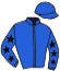 casaque portée par Lamy R. jockey du cheval de course KACTUS DE BEAUM, information pmu ZETURF casaque portée par Lamy R. jockey du cheval de course KACTUS DE BEAUM, information pmu ZETURF
