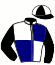 casaque portée par Giard F. jockey du cheval de course LET'S GO SAUTREUIL, information pmu ZETURF