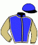 casaque portée par Plumas Y. jockey du cheval de course FACTEUR CHEF (AQ), information pmu ZETURF