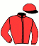 casaque portée par Lefebvre Mr C. jockey du cheval de course HOSANA CONTI (AQ), information pmu ZETURF