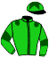 casaque portée par Foucher J. jockey du cheval de course BALISHA (AQ), information pmu ZETURF