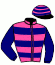 casaque portée par Rodriguez Nunez H. jockey du cheval de course DAILIX (FR), information pmu ZETURF