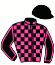 casaque portée par Lebrun J. S. jockey du cheval de course FEE DES MARAIS (AQ), information pmu ZETURF