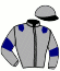 casaque portée par Anne F. jockey du cheval de course BEAU DE GRIMOULT (FR), information pmu ZETURF