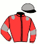 casaque portée par Rochard B. jockey du cheval de course FAROUK DU GUELIER (FR), information pmu ZETURF