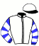 casaque portée par Ricart J. Y. jockey du cheval de course DIADEM BOY (FR), information pmu ZETURF
