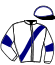 casaque portée par Desmottes A. jockey du cheval de course ECUME DE FURETAIS (FR), information pmu ZETURF