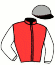 casaque portée par Desmarres Au. jockey du cheval de course HARMONIE LATINE (FR), information pmu ZETURF