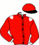 casaque portée par Rebuffe Th. jockey du cheval de course DONATELLA TERRIE (FR), information pmu ZETURF