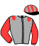casaque portée par Ruaults J. jockey du cheval de course IRISH MELODY (FR), information pmu ZETURF