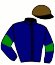 casaque portée par Senet J.F. jockey du cheval de course IBIZA DU CHERISAY (FR), information pmu ZETURF