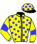 casaque portée par D' Andigne O. jockey du cheval de course MEVALIK (FR), information pmu ZETURF