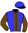 casaque portée par Ernault S. jockey du cheval de course INDIANA D'AMOUR (FR), information pmu ZETURF