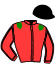 casaque portée par Bretaudeau P. jockey du cheval de course ELYSEE BARBES, information pmu ZETURF