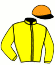 casaque portée par Binet J. A. jockey du cheval de course ECHO SI, information pmu ZETURF