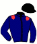 casaque portée par Barille Y. jockey du cheval de course LADY OF THE WIND, information pmu ZETURF