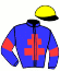 casaque portée par D' Andigne O. jockey du cheval de course SUPER GLORY, information pmu ZETURF