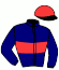 casaque portée par Lestrade B. jockey du cheval de course BALLON ONABUDGET, information pmu ZETURF