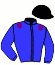 casaque portée par Bertin W. jockey du cheval de course JASMIN ROYAL, information pmu ZETURF