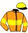 casaque portée par Heslouin Ch. jockey du cheval de course KENTUCKY IDEAL, information pmu ZETURF
