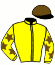 casaque portée par Gastineau J. jockey du cheval de course HARENA DE MARZY, information pmu ZETURF