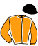 casaque portée par Roullier Tho. jockey du cheval de course HARPIE DU PERCHE, information pmu ZETURF casaque portée par Roullier Tho. jockey du cheval de course HARPIE DU PERCHE, information pmu ZETURF