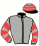 casaque portée par Desvaux A. jockey du cheval de course JAPAN QUALITY, information pmu ZETURF