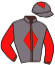 casaque portée par Thepaut S. jockey du cheval de course STYRKA, information pmu ZETURF casaque portée par Thepaut S. jockey du cheval de course STYRKA, information pmu ZETURF