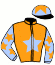 casaque portée par Thomas Dam. jockey du cheval de course CLENY, information pmu ZETURF casaque portée par Thomas Dam. jockey du cheval de course CLENY, information pmu ZETURF