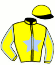 casaque portée par Duvaldestin Theo jockey du cheval de course EARL SIMON, information pmu ZETURF
