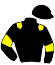 casaque portée par Roux J. jockey du cheval de course GANG OF NEW YORK, information pmu ZETURF